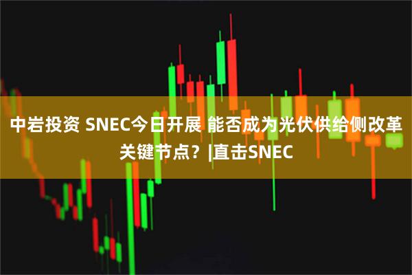 中岩投资 SNEC今日开展 能否成为光伏供给侧改革关键节点？|直击SNEC
