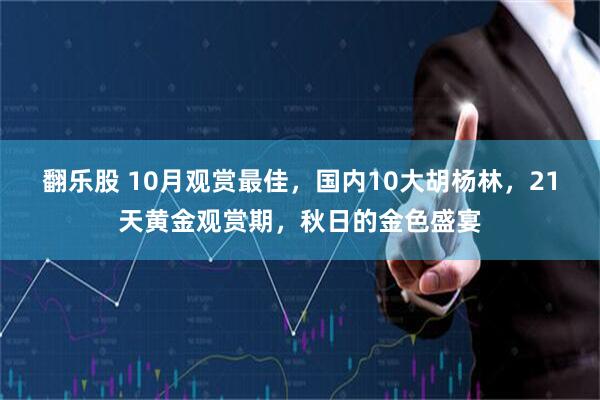 翻乐股 10月观赏最佳，国内10大胡杨林，21天黄金观赏期，秋日的金色盛宴