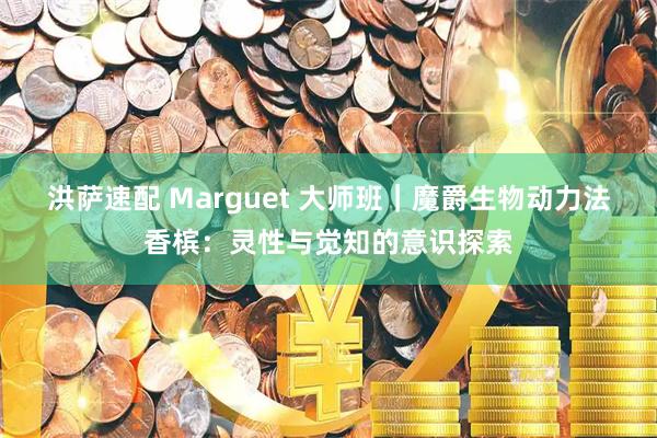洪萨速配 Marguet 大师班｜魔爵生物动力法香槟：灵性与觉知的意识探索