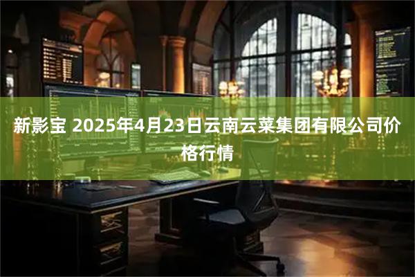 新影宝 2025年4月23日云南云菜集团有限公司价格行情