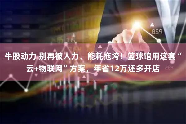 牛股动力 别再被人力、能耗拖垮！篮球馆用这套“云+物联网”方案，年省12万还多开店